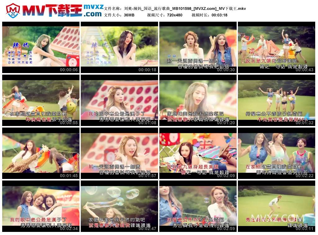 刘爽-辣妈_国语_流行歌曲_MB101598